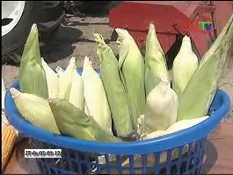 Ce que les congolais pensent du nouveau centre de démonstration des techniques agricoles