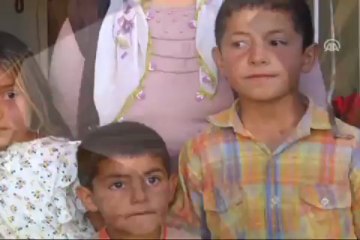 Yılanlarla aynı evi paylaşıyorlar