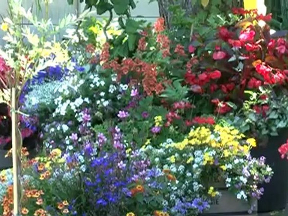 Passage du jury communal des maisons fleuries.