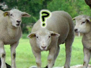 Work Journal / Le Journal de Travail 05/2011 & 11/2011