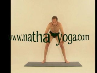 Yoga formation. Nauli mudrâ, version des îles...