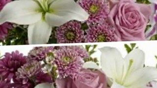 Send Love Romance Flowers in Houston TX Ace Flowers Houston Love Romance Flowers