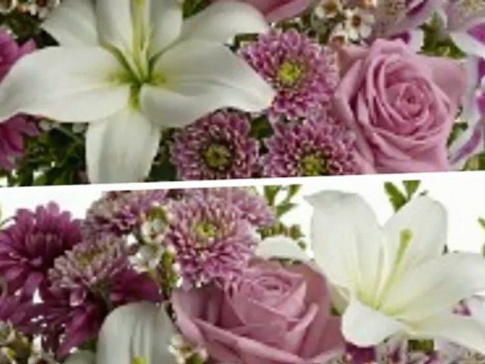 Send Love Romance Flowers in Houston TX Ace Flowers Houston Love Romance Flowers