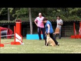 Arlette et Faraun Garonne Agility 2 septembre 2012