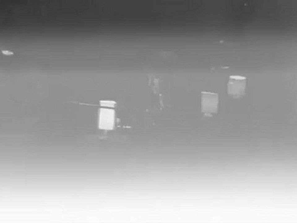 Cali - Mes vieux cinglés - live - accoustic