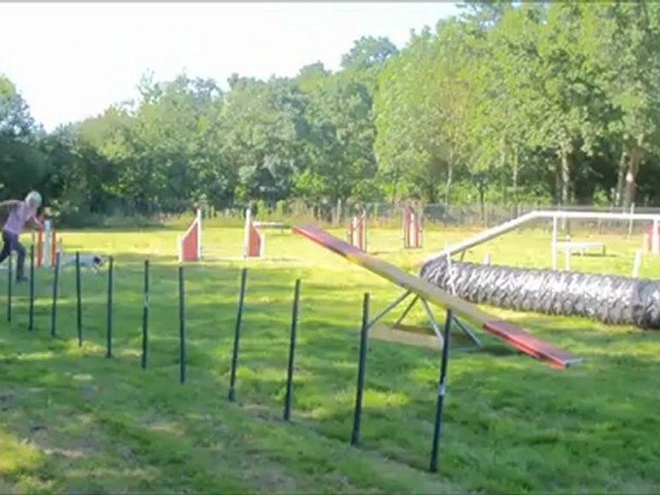 Journée des assos Entente canine de Vertou 2