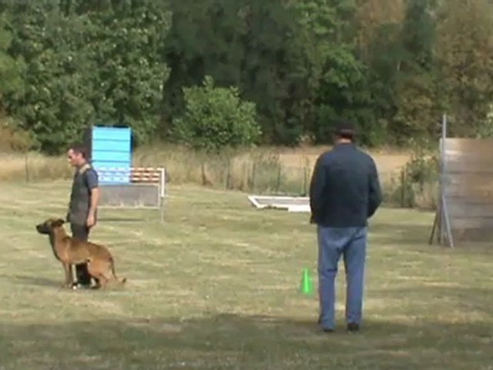 concours vitry le francois igor