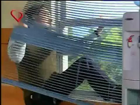 Rebelde Way, padre prepotente