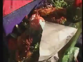 Rebelde Way, aterrizando en Tierra Santa