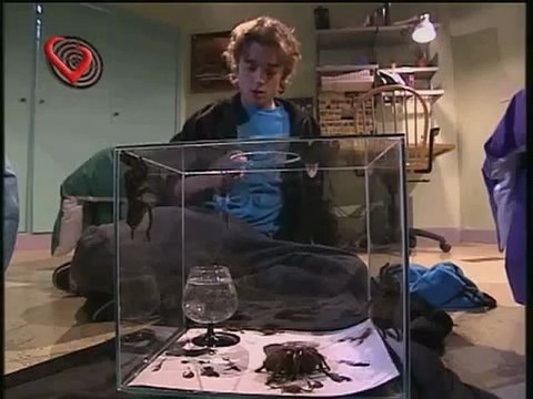 Rebelde Way 74, maldita llave