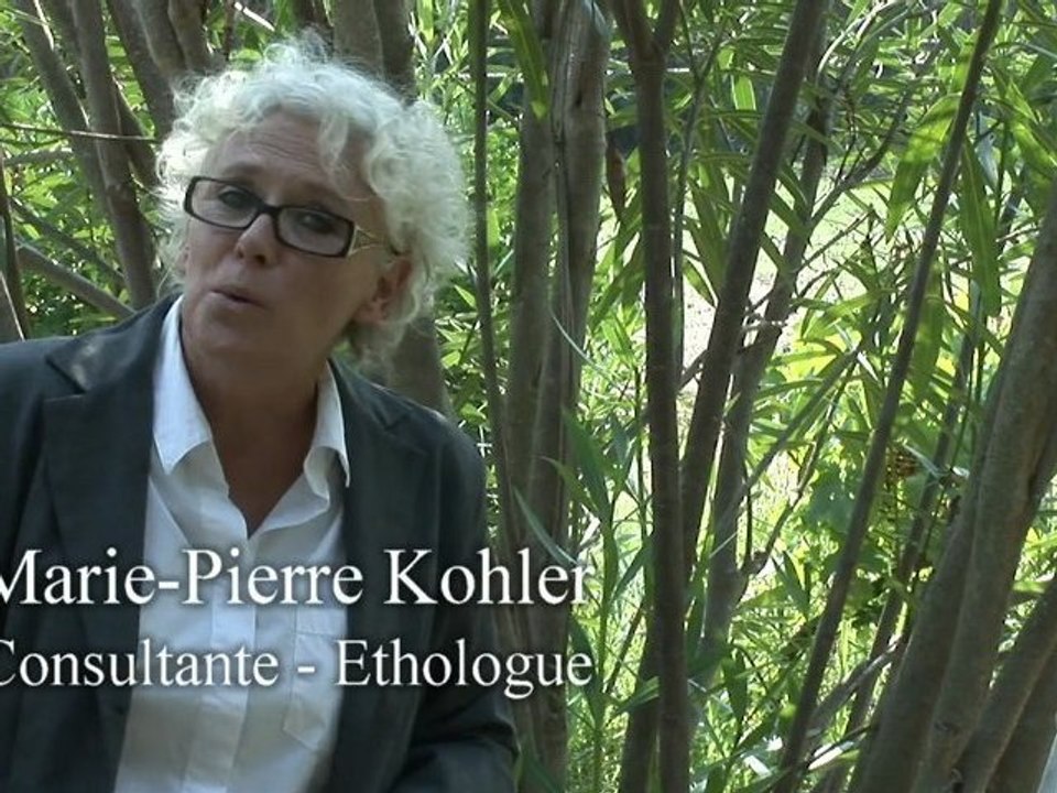 Le "CHE" Cheval, l’Homme et l’Entreprise