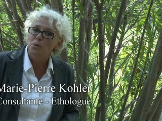 Le "CHE" Cheval, l’Homme et l’Entreprise