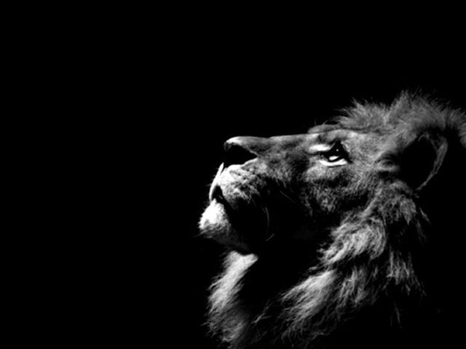 Valerius Maximus And Velleius Paterculus