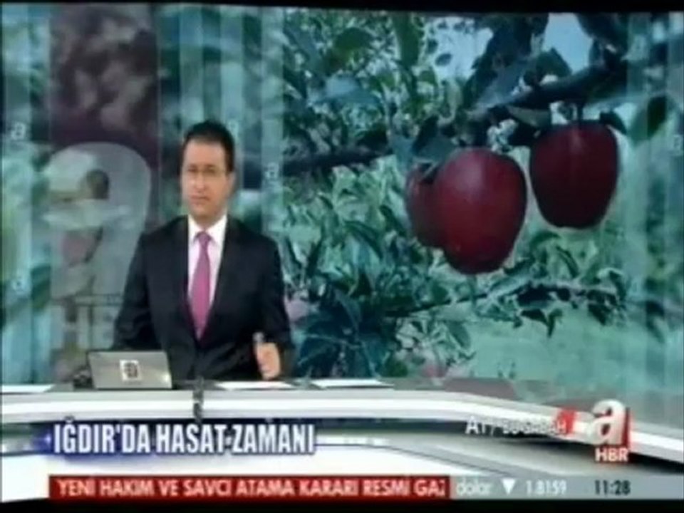 IĞDIR IN AL ELMA HASADI:)))