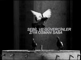 Sebil ve Güvercinler(Ziya Osman Saba)