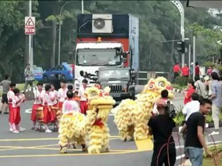 Alfombra roja para dos pandas