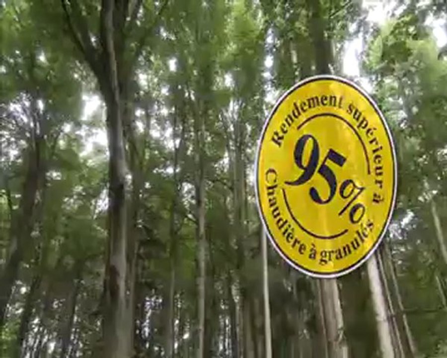 Chaudières granulés Hargassner