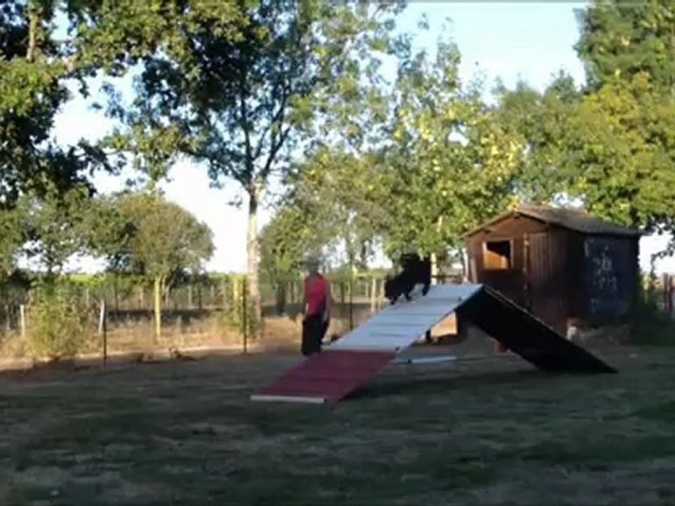 Vodka Running A Frame 23th training