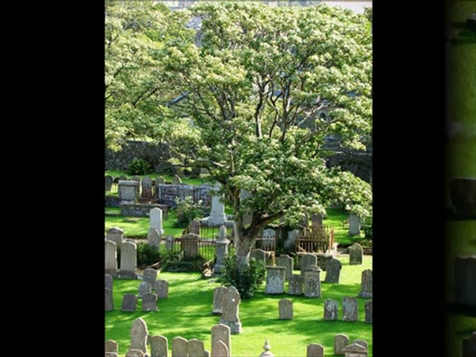 Iles Orcades (Mainland)