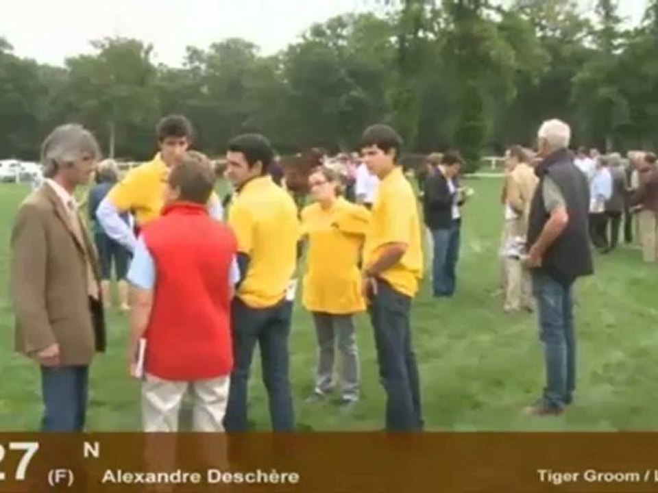 Section 3 - Foals Agés femelles