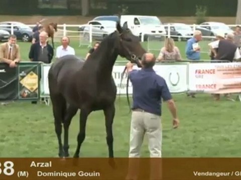 Section 6 - 2 ans males