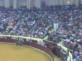 RUI FERNANDES NO CAMPO PEQUENO EXCERTO DA ULTIMA LIDE A UM TOIRO DE MARIA  GUIOMAR CORTES MOURA