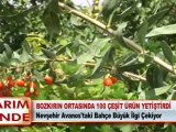 BOZKIRIN ORTASINDA 100 ÇEŞİT ÜRÜN YETİŞTİRDİ