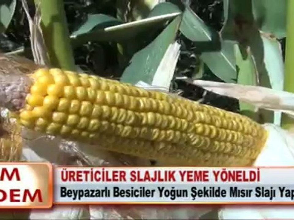 ÜRETİCİLER SLAJLIK YEME YÖNELDİ
