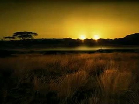 Wholesale CellPhone Accessories Bluetooth Headsets