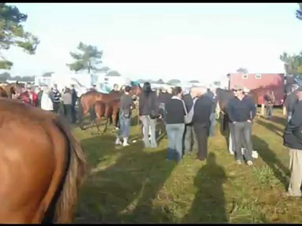 foire de Lessay 2012