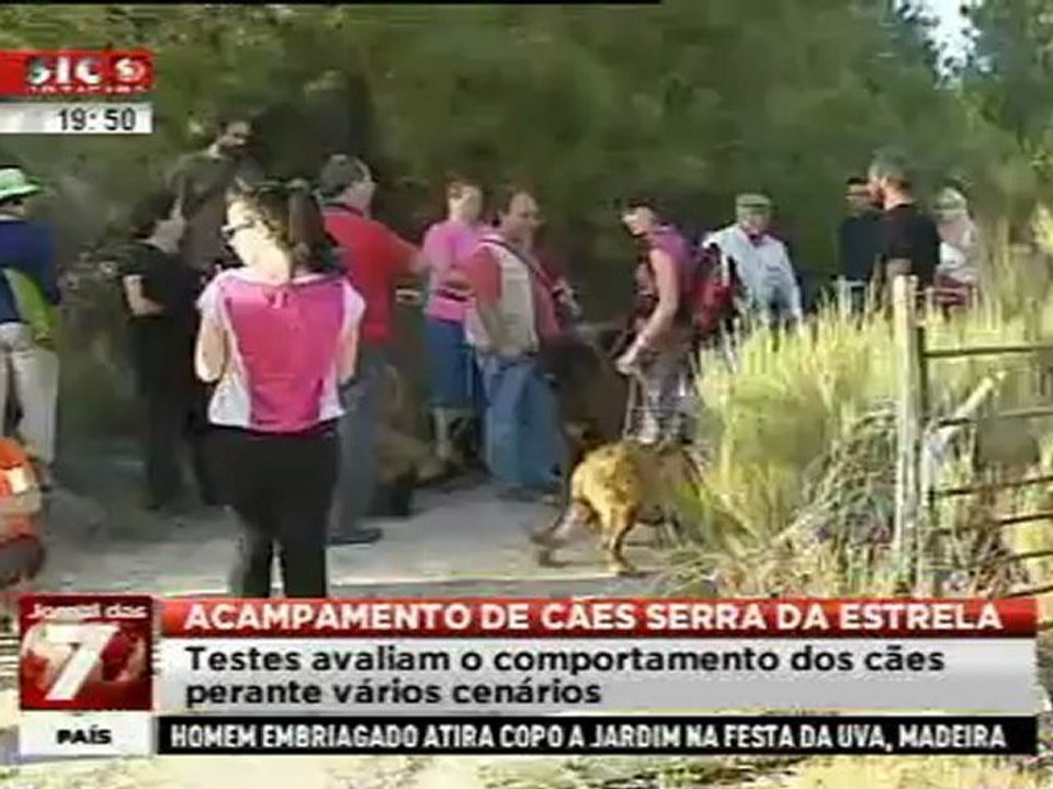 Vidéo estrela