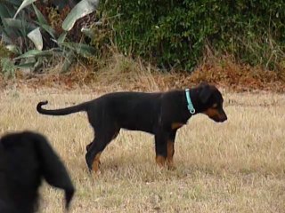 Première sortie (en libre) d'Hikki