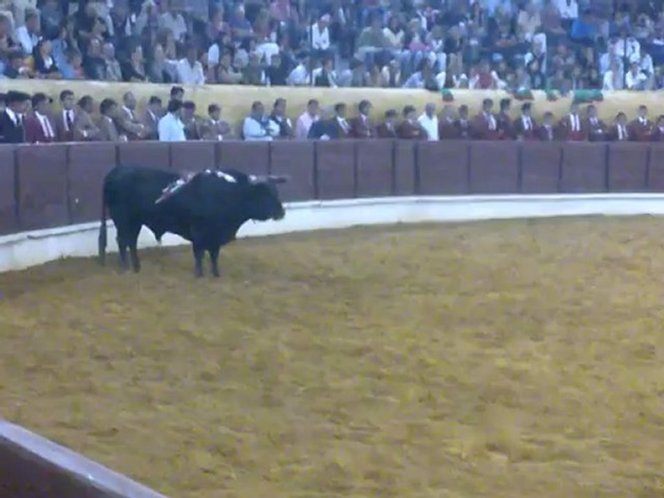 ORLANDO SILVA DOS AMADORES DE TOMAR PEGA TOIRO DE PAULINO DA CUNHA E SILVA NA CHAMUSCA