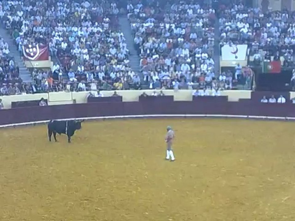 EMANUEL INJAI DOS AMADORES DA CHAMUSCA PEGA TOIRO DE MARIA GUIOMAR CORTES MOURA NO CAMPO PEQUENO