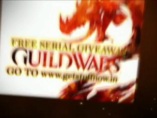 guild wars 2 serial