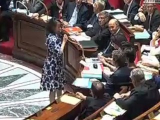 Cécile Duflot sifflée à l'Assemblée