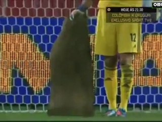 Russia - Northern Ireland Highlights HQ Eng ver