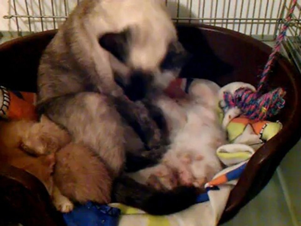 VIDEO0016