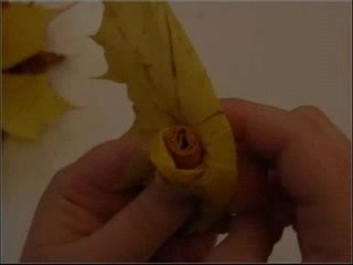 Un bouquet en feuilles séchées