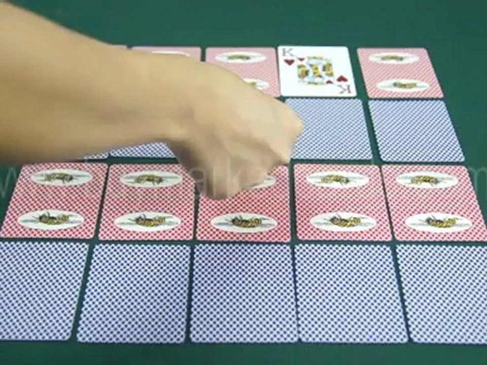 LUMINEUX CARTES MARQUEES--BEE--marked-cards