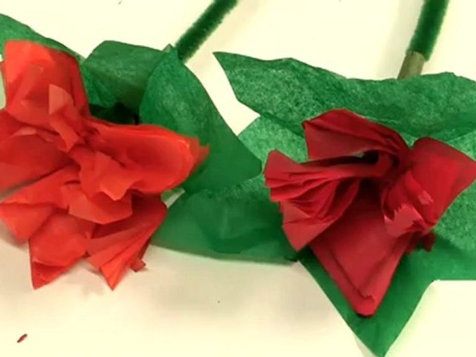 Step By Step Guide To Tissue Flower Making