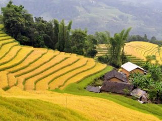 DU THUYEN HA LONG 5 SAO