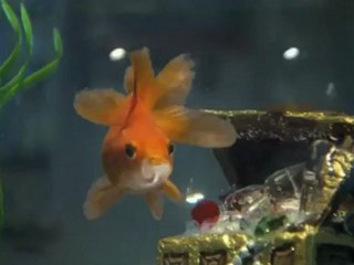 Carl's Jr. - Robot - David&Goliath