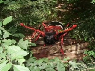 Concours photos Brezoland Aout 2012