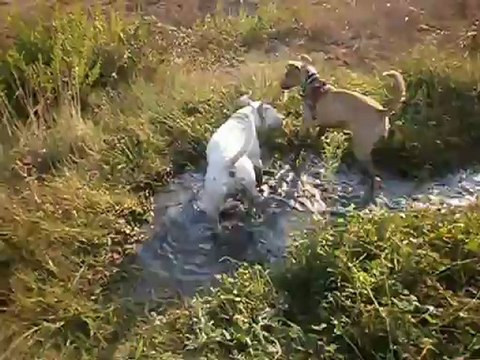 Redden, Guess et Eros à la Salette 08-09-2012 n° 2