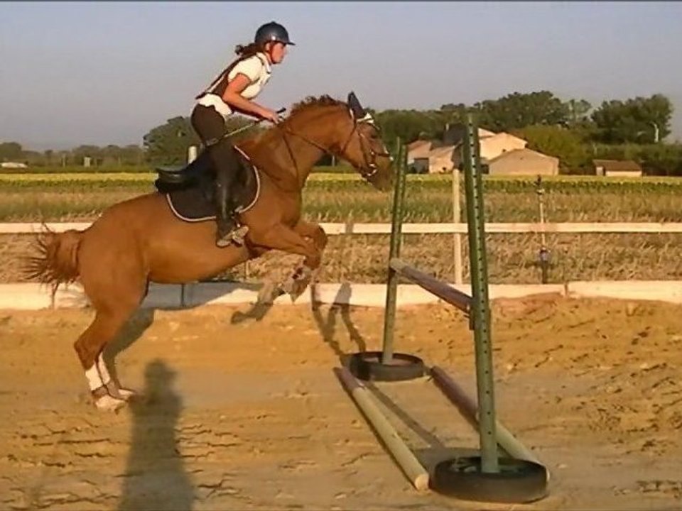 Tatoon Séance CSO 07/09/2012