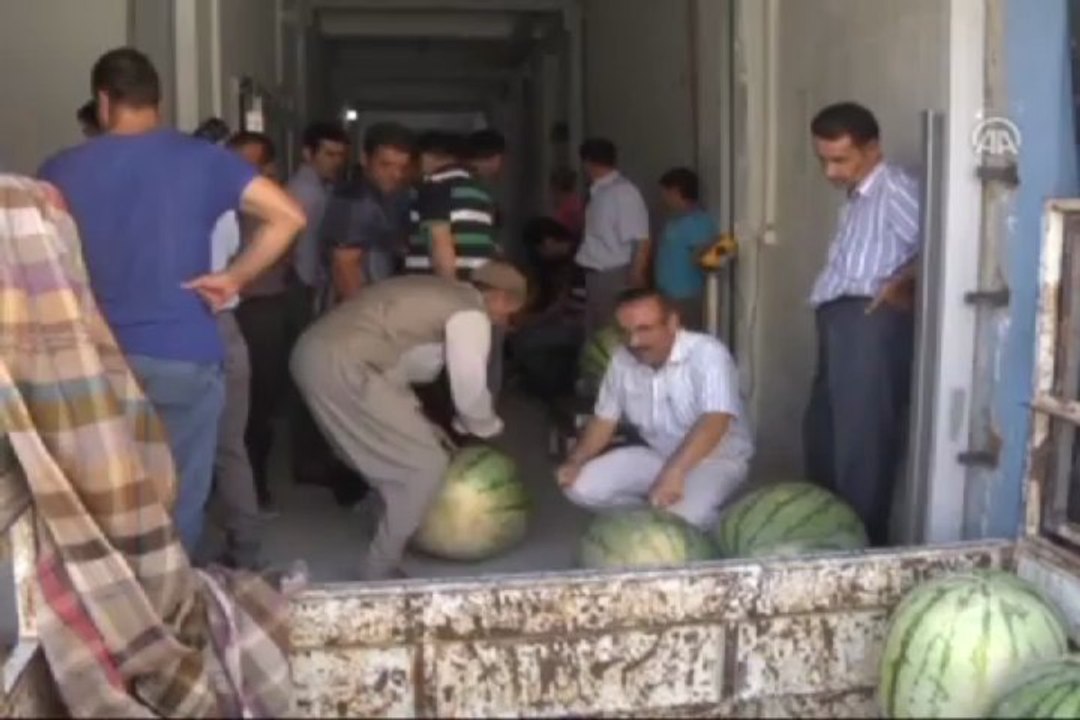 Hedef 70 kiloluk karpuz