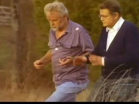 Les Archives Oubliees - L'arche De Noé