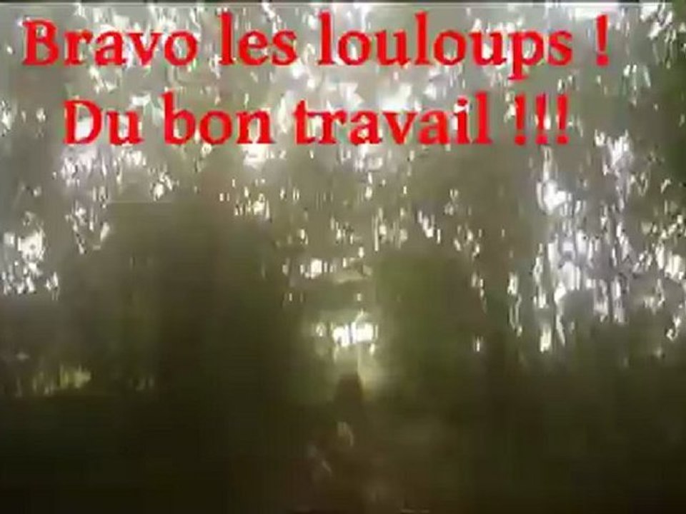 entrainement kart 06 chiens et quad 09 chiens