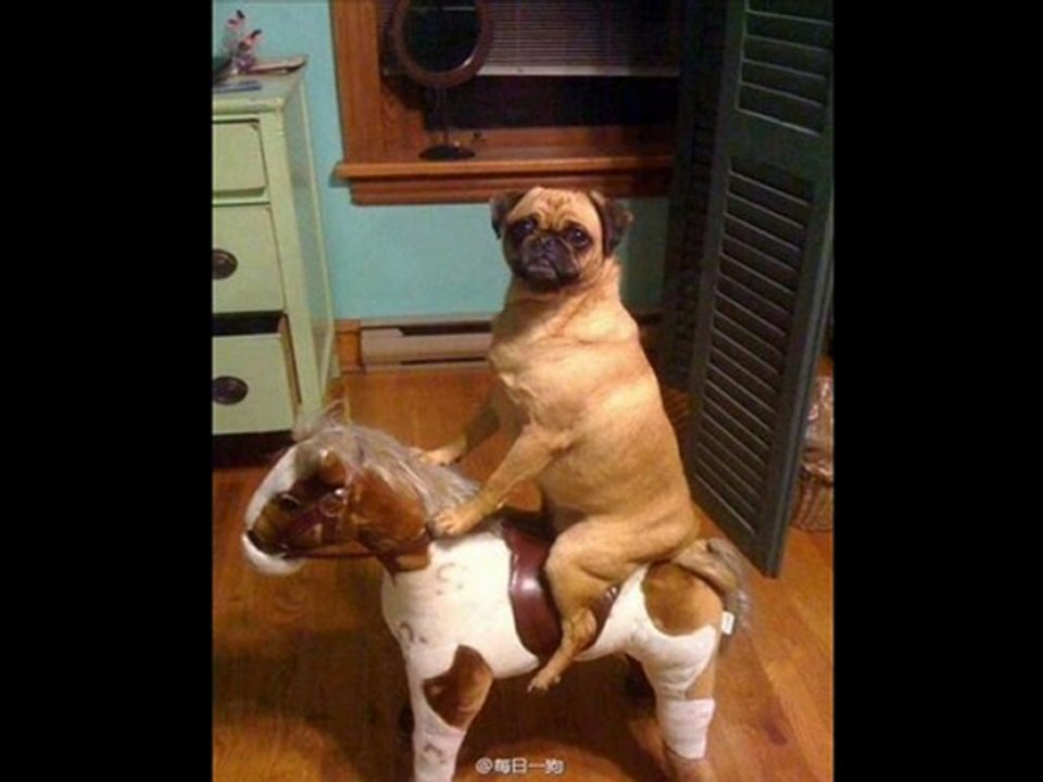 Panasonic Lumix ZS20 Best Black Friday Sale